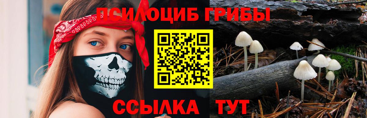 Псилоцибиновые грибы Psilocybine cubensis  Псилоцибиновые грибы прущие грибы  Мирный  Вход с VPN 